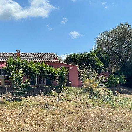 Apartament Nuit Calme Sur Domaine Calcatoggio  Zewnętrze zdjęcie
