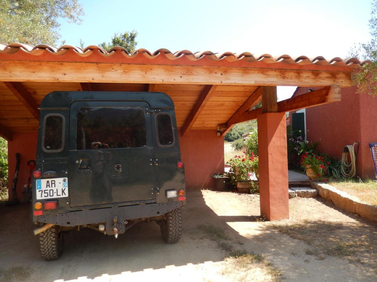 Apartament Nuit Calme Sur Domaine Calcatoggio  Zewnętrze zdjęcie