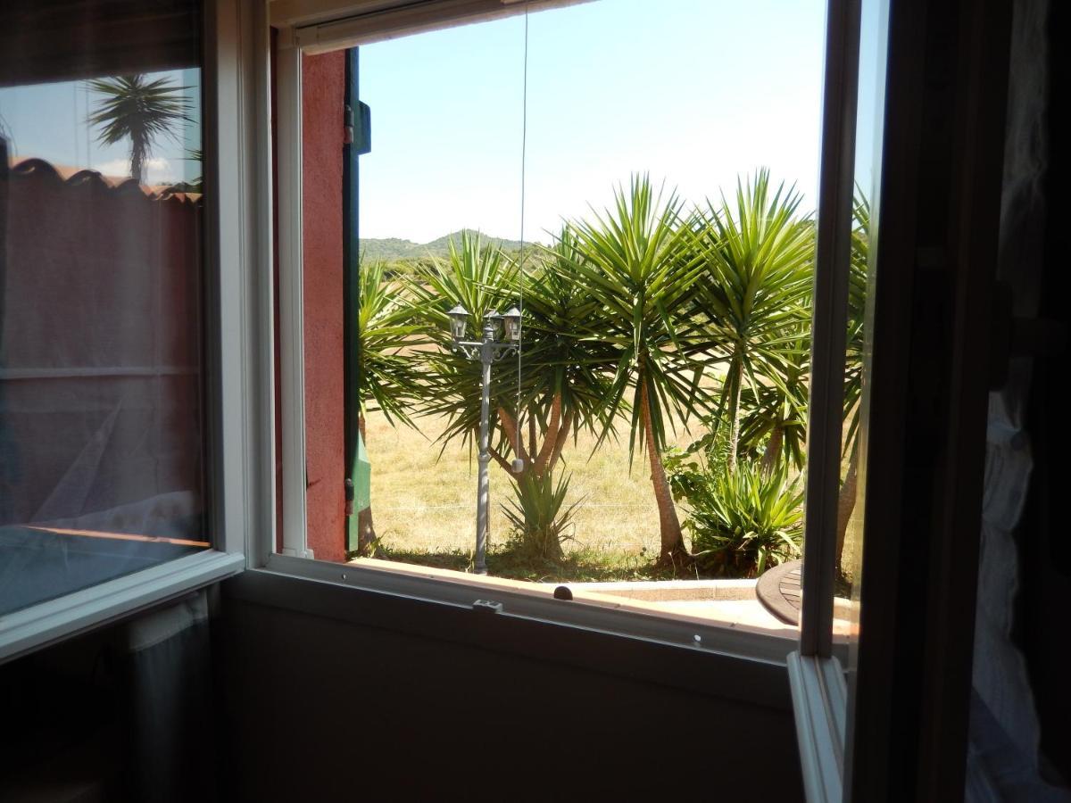 Apartament Nuit Calme Sur Domaine Calcatoggio  Zewnętrze zdjęcie