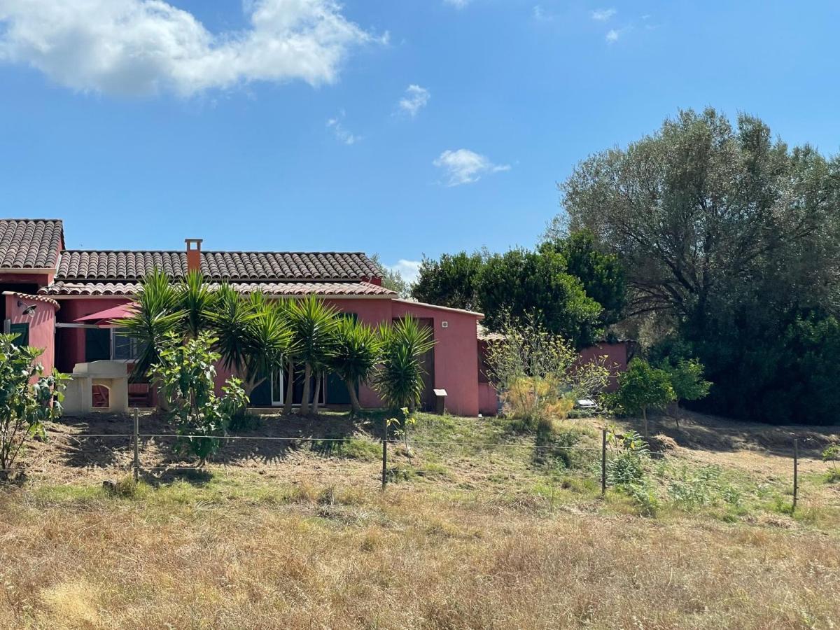 Apartament Nuit Calme Sur Domaine Calcatoggio  Zewnętrze zdjęcie